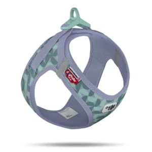Vest Harness Clasp (Curli) - Limited Edition - Lila/Groen